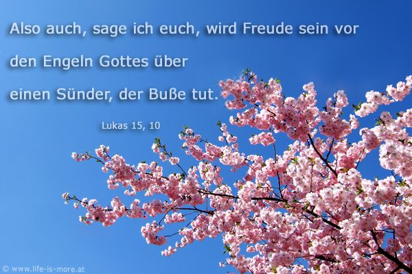 Also auch, sage ich euch, wird Freude sein vor den Engeln Gottes über einen Sünder, der Buße tut. Lukas 15,10 - Bildquelle: pixelio.de