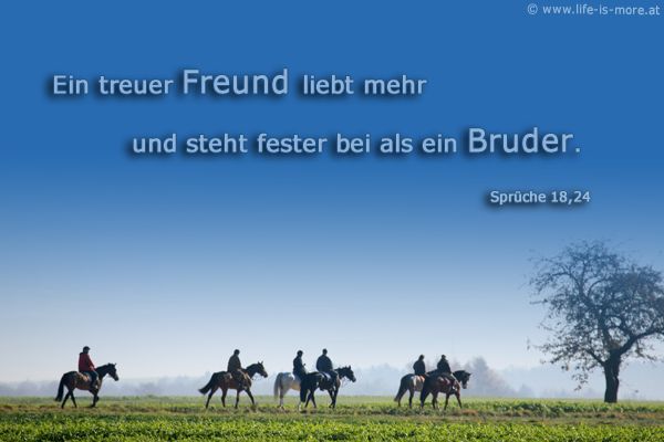 Ein treuer Freund liebt mehr und steht fester bei als ein Bruder. Sprüche 18,24 - Bildquelle: pixelio.de