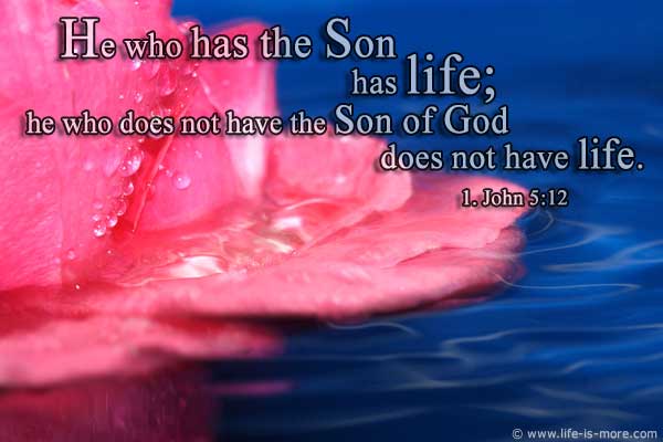 Wer den Sohn hat, hat das Leben; wer den Sohn Gottes nicht hat, hat das Leben nicht. 1.Johannes 5,12 - Bildquelle: pixelio.de