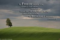 In Frieden werde ich, sobald ich liege, schlafen; denn du, HERR, läßt mich, obschon allein, in Sicherheit wohnen. (Psalm 4,9)