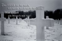 Der HERR ist für mich, ich werde mich nicht fürchten. Was könnte ein Mensch mir tun? (Psalm 118,6)