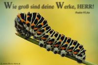 Wie groß sind deine Werke, Herr! (Psalm 92,6a)