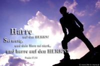 Harre auf den HERRN! Sei mutig, und dein Herz sei stark, und harre auf den HERRN! (Psalm 27,14)