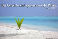 Der Gerechte wird sprossen wie eine Palme. (Psalm 92,13)