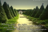 Dann wirst du sein wie ein bewässerter Garten und wie ein Wasserquell, dessen Wasser nicht versiegen. (Jesaja 58,11)