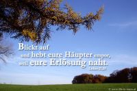 Blickt auf und hebt eure Häupter empor, weil eure Erlösung naht. (Lukas 21,28)