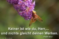 Keiner ist wie du, Herr,... und nichts gleicht deinen Werken. (Psalm 86,8)