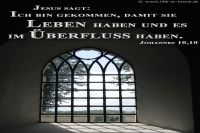 Jesus sagt: Ich bin gekommen, damit sie Leben haben und es in Überfluß haben. (Johannes 10,10)