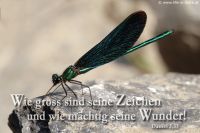 Wie groß sind seine Zeichen und wie mächtig seine Wunder! (Daniel 3,33)