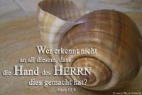 Wer erkennt nicht an all diesem, dass die Hand des HERRN dies gemacht hat? (Hiob 12,9)