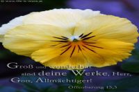 Groß und wunderbar sind deine Werke, Herr, Gott, Allmächtiger! (Offenbarung 15,3)