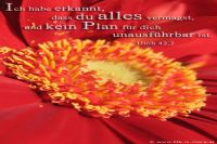 Ich habe erkannt, dass du alles vermagst und kein Plan für dich unausführbar ist. (Hiob 42,2)