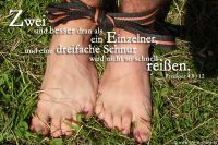 Zwei sind besser daran als ein Einzelner, und eine dreifache Schnur wird nicht so schnell reißen. (Prediger 4,9+12)