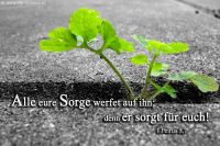 Alle eure Sorge werft auf ihn; denn er sorgt für euch! (1.Petrus 5,7)