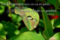 Vom Hörensagen hatte ich von dir gehört, jetzt aber hat mein Auge dich gesehen. (Hiob 42,5)