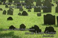 Denn ich bin überzeugt, dass weder Tod noch Leben, ?uns wird scheiden können von der Liebe Gottes (Römer 8,38a+39a)