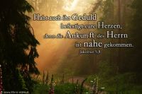 Habt auch ihr Geduld, stärkt eure Herzen! Denn die Ankunft des Herrn ist nahe gekommen. (Jakobus 5,8)