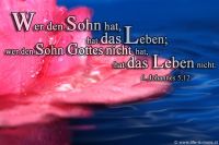Wer den Sohn hat, hat das Leben; wer den Sohn Gottes nicht hat, hat das Leben nicht. (1.Johannes 5,12)