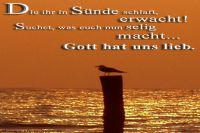 Die ihr in Sünde schlaft, erwacht! Suchet, was euch nun selig macht? Gott hat uns lieb. (Lied)