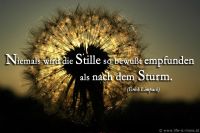 Niemals wird die Stille so bewusst empfunden als nach dem Sturm. (Erich Limpach)