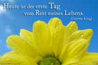 Heute ist der erste Tag vom Rest meines Lebens. (Coretta King)