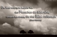 Die Welt wir nicht bedroht von den Menschen die böse sind, sondern von denen, die das Böse zulassen. (Albert Einstein)