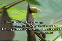 Die beste Tarnung ist die Wahrheit. Die glaubt einem keiner! (Max Frisch)