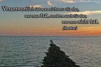 Verantwortlich ist man nicht nur für das, was man tut, sondern auch für das, was man nicht tut. (Laotse)