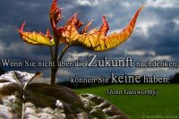 Wenn Sie nicht über de Zukunft nachdenken, können Sie keine haben. (John Galyworthy)