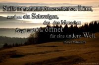 Stille ist nicht bloß Abwesenheit vom Lärm, sondern ein Schweigen, das den Menschen Auge und Ohr öffnet für eine andere Welt. (Serge Poliakoff)