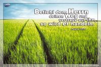 Befiehl dem Herrn deinen Weg und vertraue auf ihn, so wird er handeln. (Psalm 37,5)
