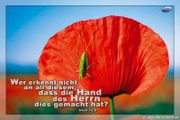 Wer erkennt nicht an all diesem, dass die Hand des Herrn dies gemacht hat? (Hiob 12,9)