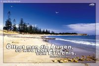 Öffnet man die Augen, so wird jeder Tag zum Erlebnis. (Oskar Kokoschka)