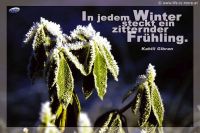 In jedem Winter steckt ein zitternder Frühling. (Kahlih Gibran)