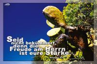 Seid nicht bekümmert, denn die Freude am Herrn ist eure Stärke. (Nehemia 8,10)