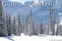 Gott aber ist treu (2.Korinther 1,18a)