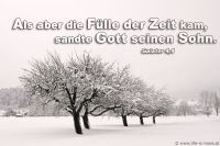 Als aber die Fülle der Zeit kam, sandte Gott seinen Sohn. (Weihnachten, Advent) (Galater 4,4)