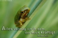 Alles vermag ich in dem, der mich kräftigt. (Philipper 4,13)