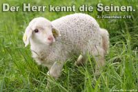 Der Herr kennt die Seinen. (2.Timotheus 2,19)