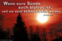Wenn eure Sünde auch blutrot ist, soll sie doch schneeweiß werden. (Jesaja 1,18)