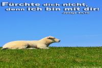 Fürchte dich nicht, denn ich bin mit dir! (Jesaja 41,10)