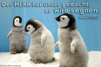 Der Herr hat unser gedacht, er wird segnen. (Psalm 115,12)