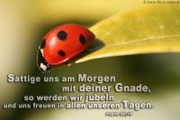 Sättige uns am Morgen mit deiner Gnade, so werden wir jubeln und uns freuen in allen unseren Tagen. (Psalm 90,14)