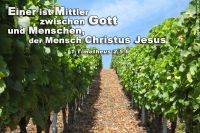 Einer ist Mittler zwischen Gott und Menschen, der Mensch Christus Jesus. (1.Timotheus 2,5-6)