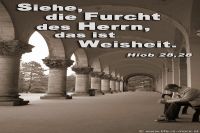 Siehe, die Furcht des Herrn, das ist Weisheit. (Hiob 28,28)