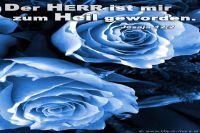 Der Herr ist mir zum Heil geworden. (Jesaja 12,2)