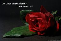 Die Liebe vergeht niemals (1.Korinther 13,8)