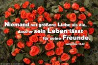Niemand hat größere Liebe als die, dass er sein Leben lässt für seine Freunde. (Johannes 15,13)