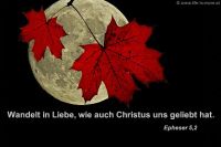 Wandelt in Liebe, wie auch Christus uns geliebt hat. (Epheser 5,2)