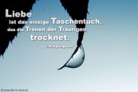 Liebe ist das einzige Taschentuch, das die Tränen der Traurigen trocknet. (Charles Haddon Spurgeon)